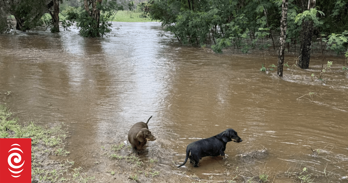 Queensland flood emergency warning continues as ex-Cyclone Koji moves west