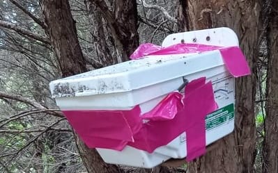 What the possum trap looks like from the outside.