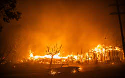 LOS ANGELES, CALIFORNIA - JANUARY 8: Flames from the Palisades Fire burns a car and homes during a powerful windstorm on January 8, 2025 in the Pacific Palisades neighborhood of Los Angeles, California. The fast-moving wildfire is threatening homes in the coastal neighborhood amid intense Santa Ana Winds and dry conditions in Southern California.   Apu Gomes/Getty Images/AFP (Photo by Apu Gomes / GETTY IMAGES NORTH AMERICA / Getty Images via AFP)
