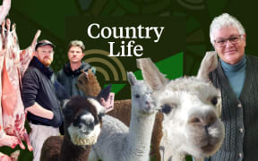 Summer Series: Country Life 30 December