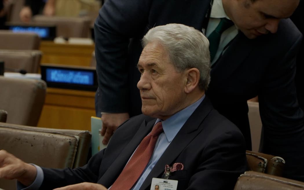 Foreign Affairs Minister Winston Peters at the Crimea Platform Summit in New York.