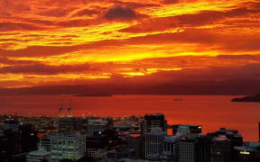 Sunrise Wellington