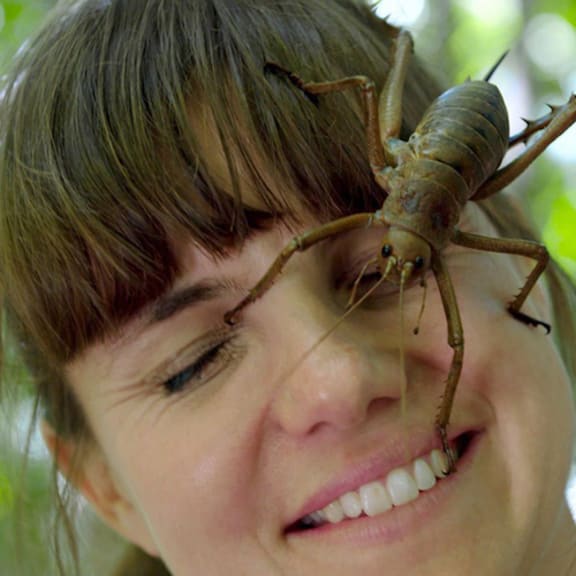 Nicola Toki with Wetapunga