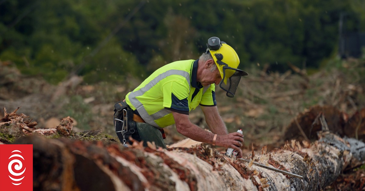 Forestry Industry hit as WorkSafe cuts funding safety programmes - Vimarsana News