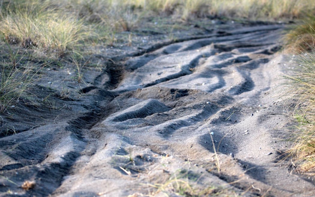 Vehicle tracks in the sand prior to the bylaw being adopted.