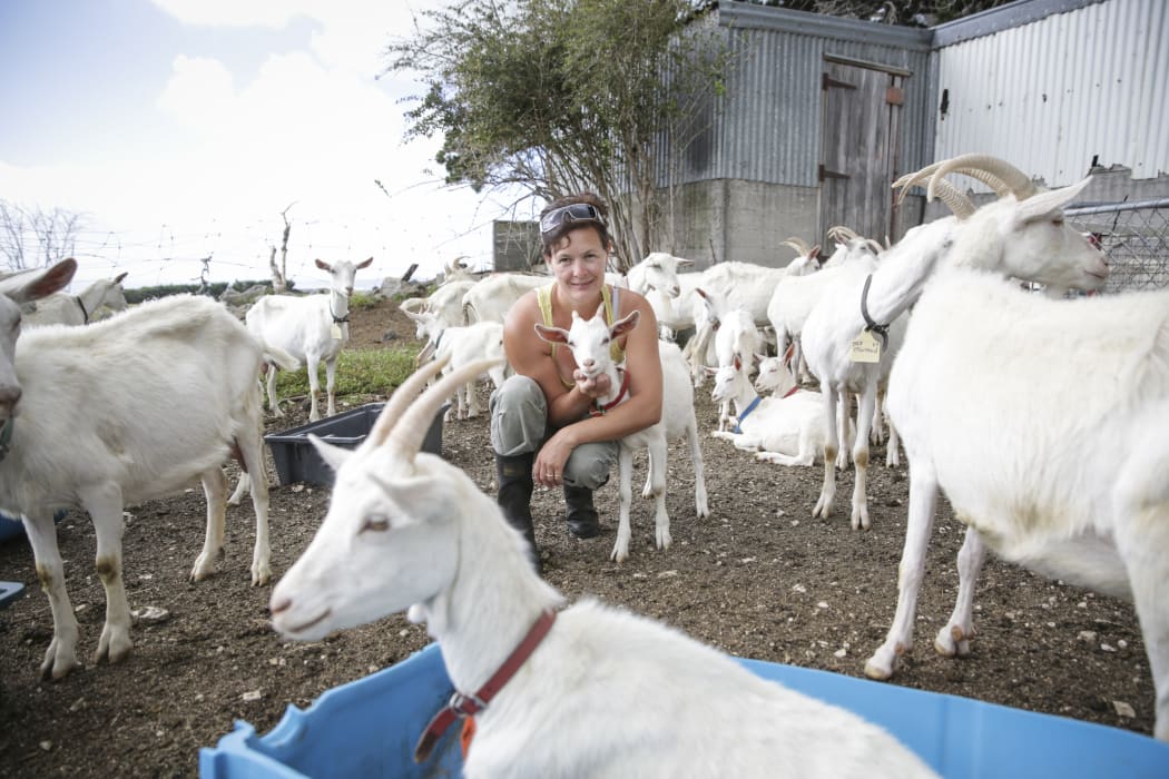 Owner of Kaikoura Cheese, Sarah Jenkins.