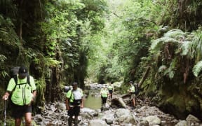 Workers walking up stream full of rocks in a fern draped gully