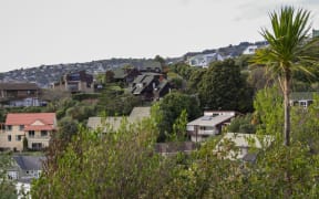 Generic houses in NZ - taken in Christchurch June 2020