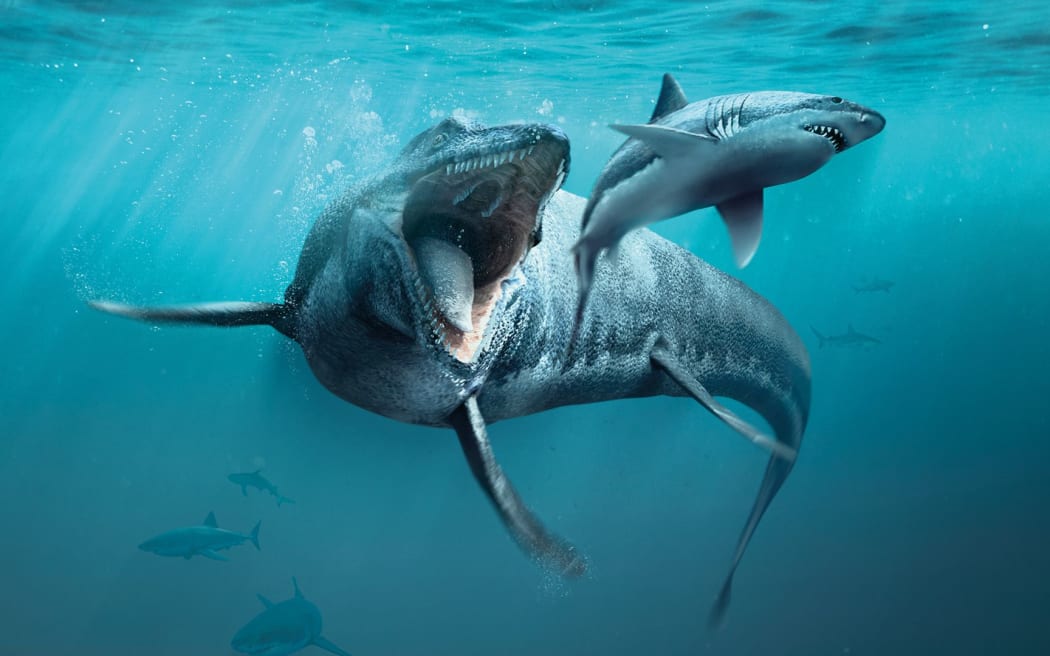 Sea monsters.