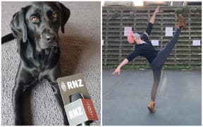 Daily Cheer Thumbnail