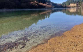 Clutha River