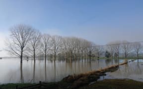 Flooded paddocks around Kawakawa in Far North