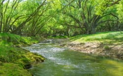 Stream flowing through farmland, New Zealand.