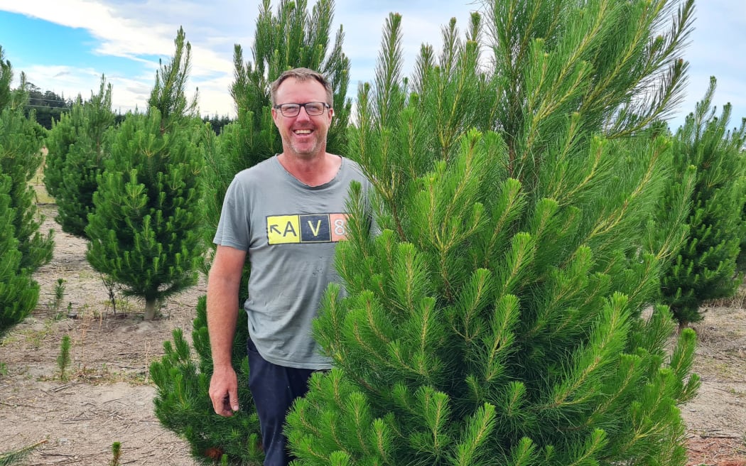 Christmas tree farm