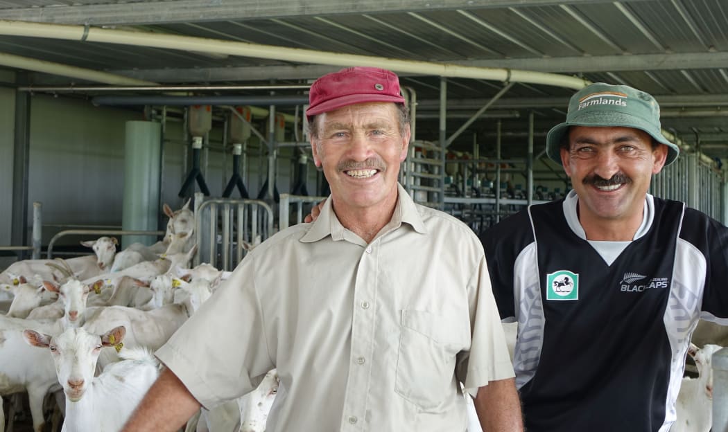 Father and son in shed with goats