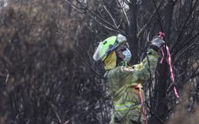 170224 CHRIS SKELTON / POOL
Firefighters continue their efforts on Saturday as they work to dampen down remaining hot spots and create a buffer zone around the 24km perimeter fire ground in Christchurch's Port Hills. Pictured firefighter makes hot spots