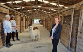 Anne Rogers, the conveyor of the alpaca section of the show, with two of the competitors.