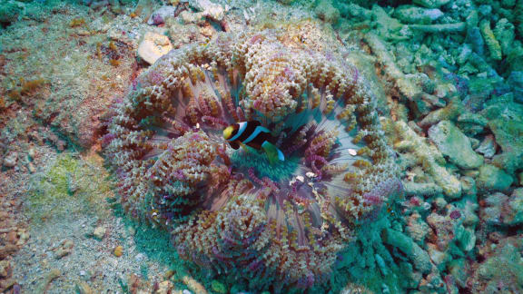 4o4o9mq gallery image 43915