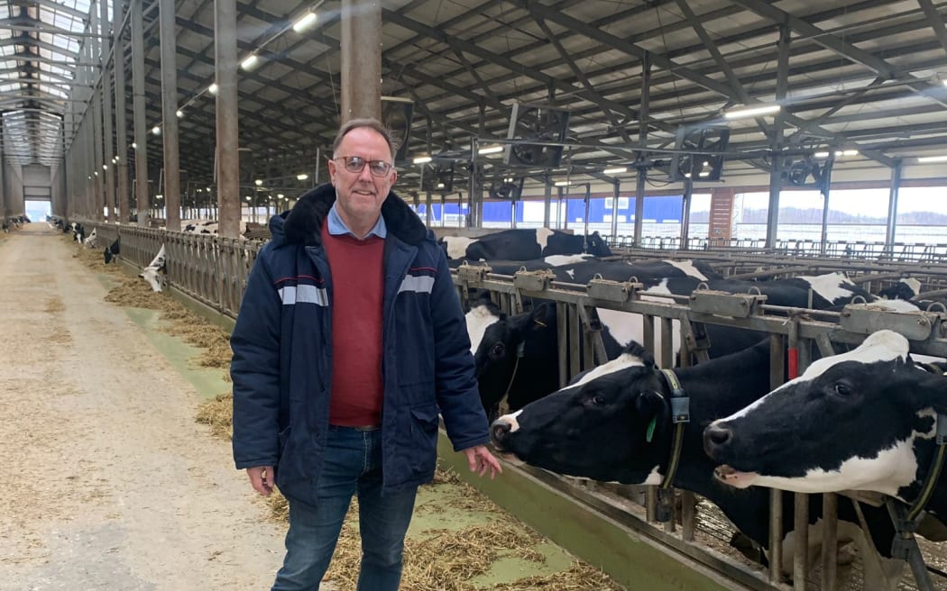 Berwick Settle in a large barn for dairy cows