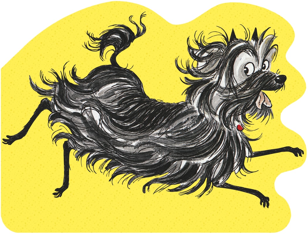 Hairy MacLary