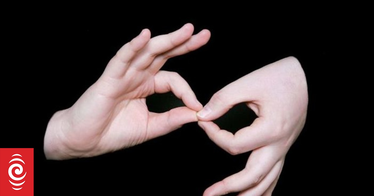 Big step forward for NZ Sign Language | RNZ News