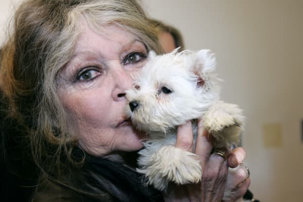 (FILES) French actress and animal rights activist Brigitte Bardot in a dog pound in Nice (southern France), holding one of 143 puppies seized by customs officiers in a Hungarian van, on December 28, 2005. French actress Brigitte Bardot died at 91 AFP learned from Bardot foundation on December 28, 2025.