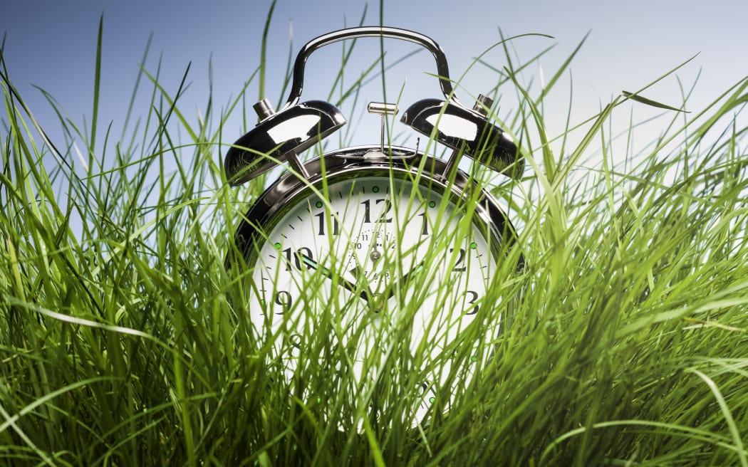Alarm clock hiding in tall grass. (Photo by CAIA IMAGE/SCIENCE PHOTO LIBRARY / NEW / Science Photo Library via AFP)