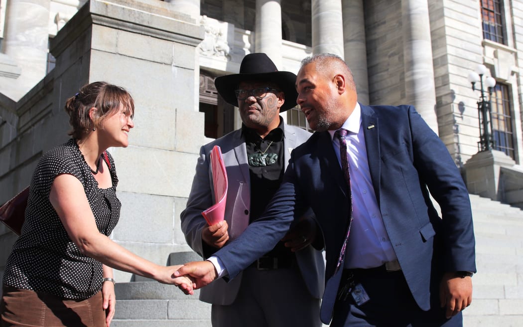 Emily, Rawiri and Peeni stand on the steps of parliament. Emily and Peeni shake hands, while Rawiri holds the petition in a pink clearfile.