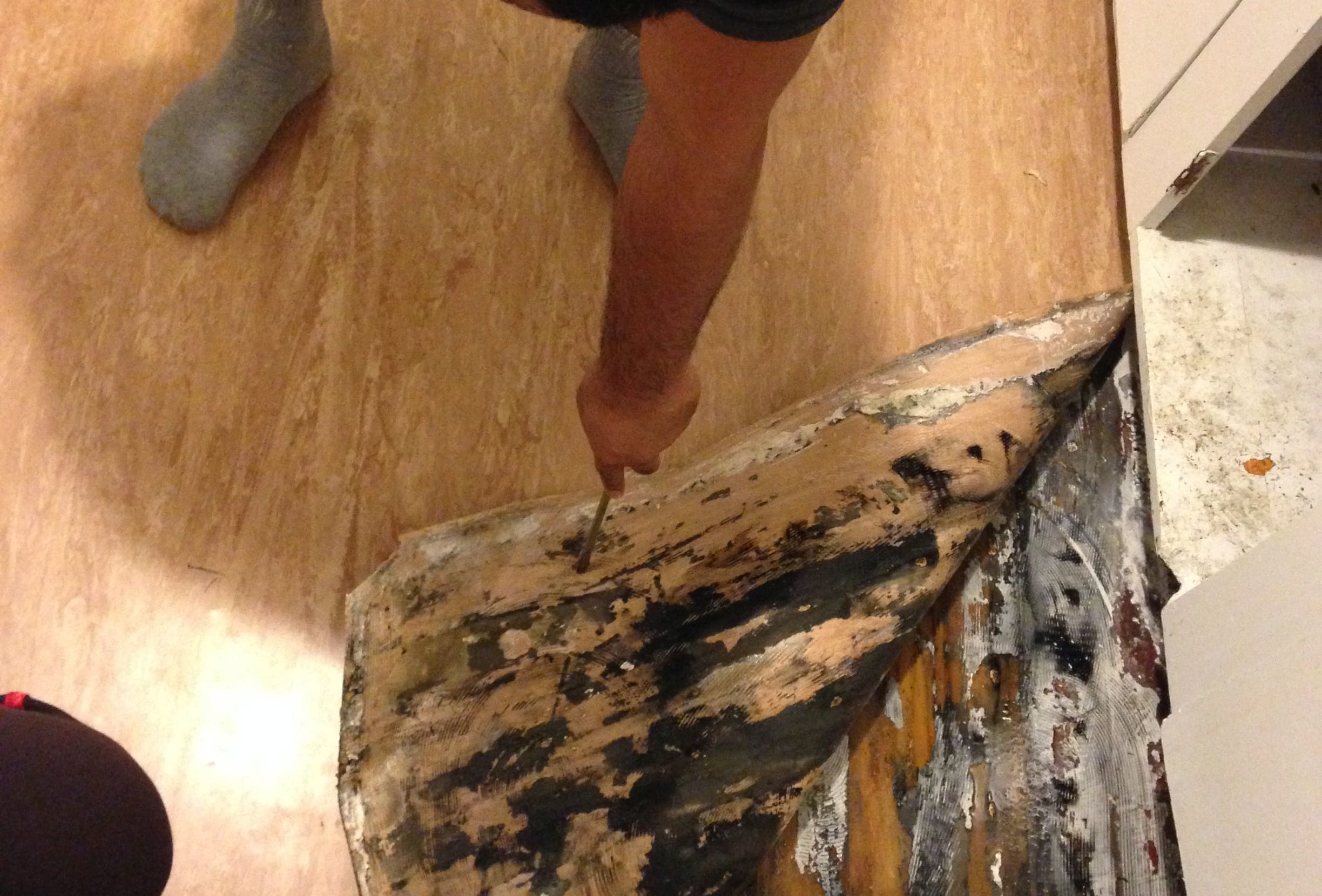 Rotting floorboards in Bonnie and William Moa's house