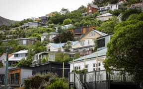 Houses around Lyttelton area in Christchurch