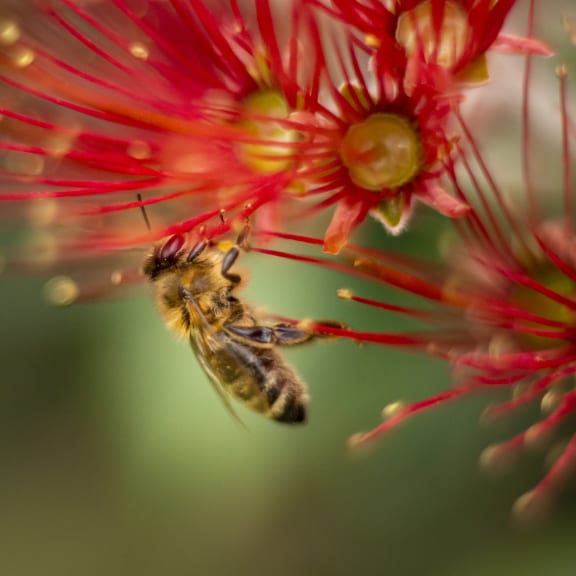 Photo for The Best of Nine to Noon 2025