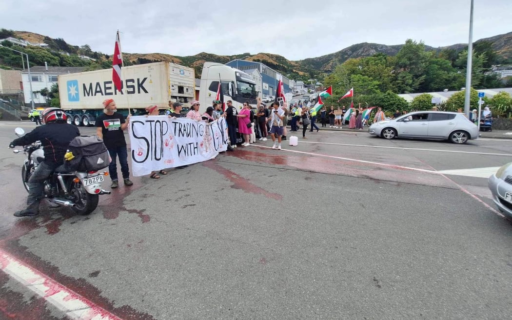 Police arrested pro-Palestine protesters, and accused the group of blocking traffic in Lyttelton, on 6 February, 2024.