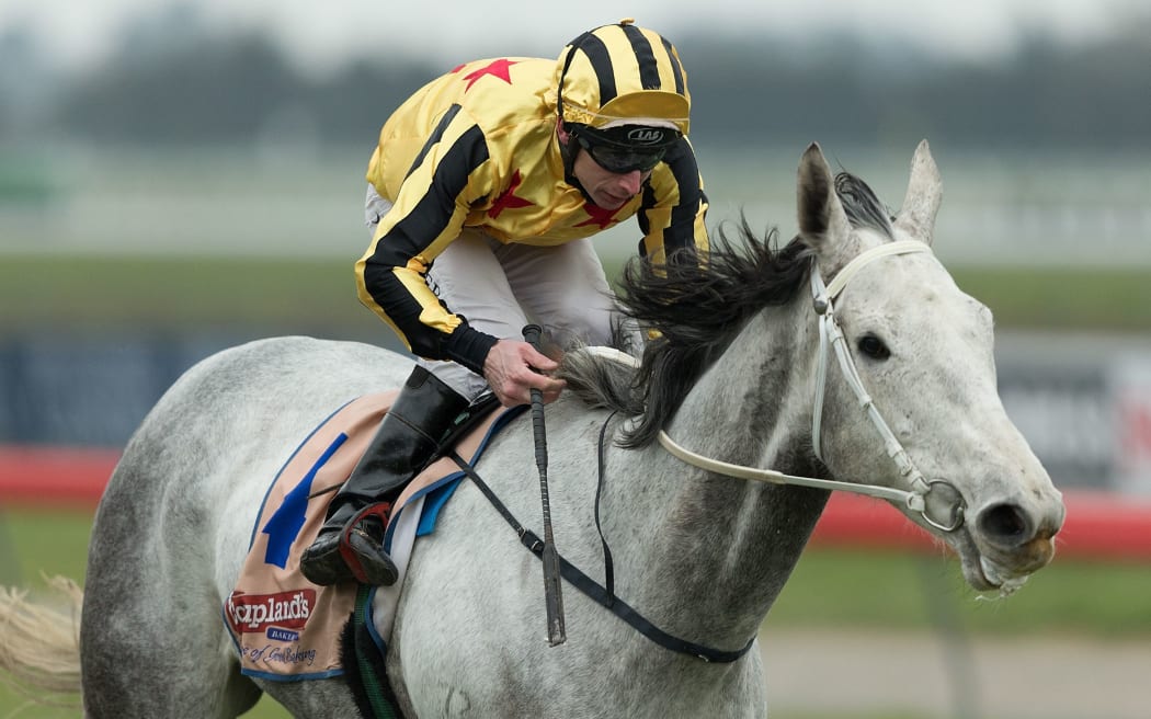 David Walker riding Khemosabi to win the Premier Open Race 4 at Riccarton Park, Christchurch in 2013.