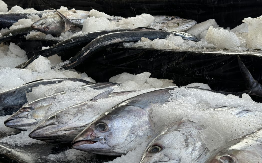 Tuna on display in Nuku'alofa