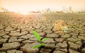 Last year was the planet's hottest since records were first kept in 1880.
