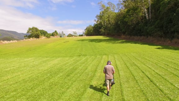 Best mower for mowing pasture clearance
