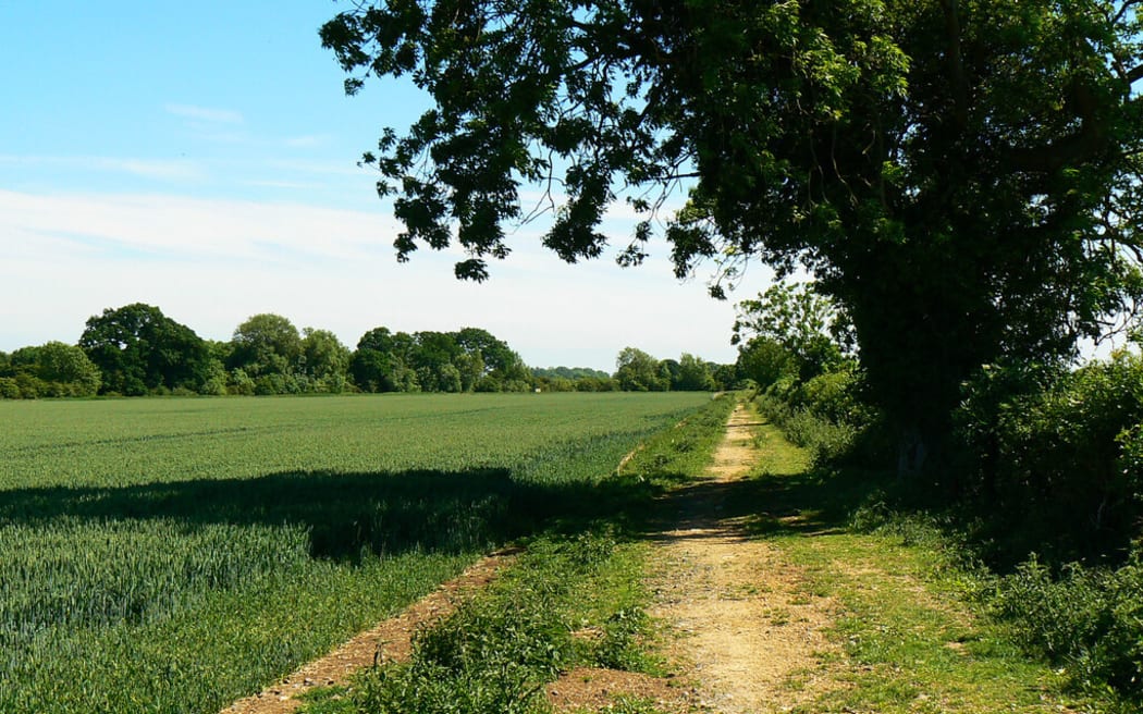 Bridleway to Down Ampney, the village where composer Ralph Vaughan Williams was born on 12 October 1872.