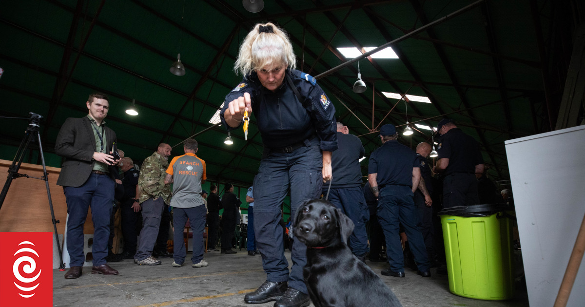 Doggone good job - Trainer takes on task of preparing perfect pooches - Vimarsana News