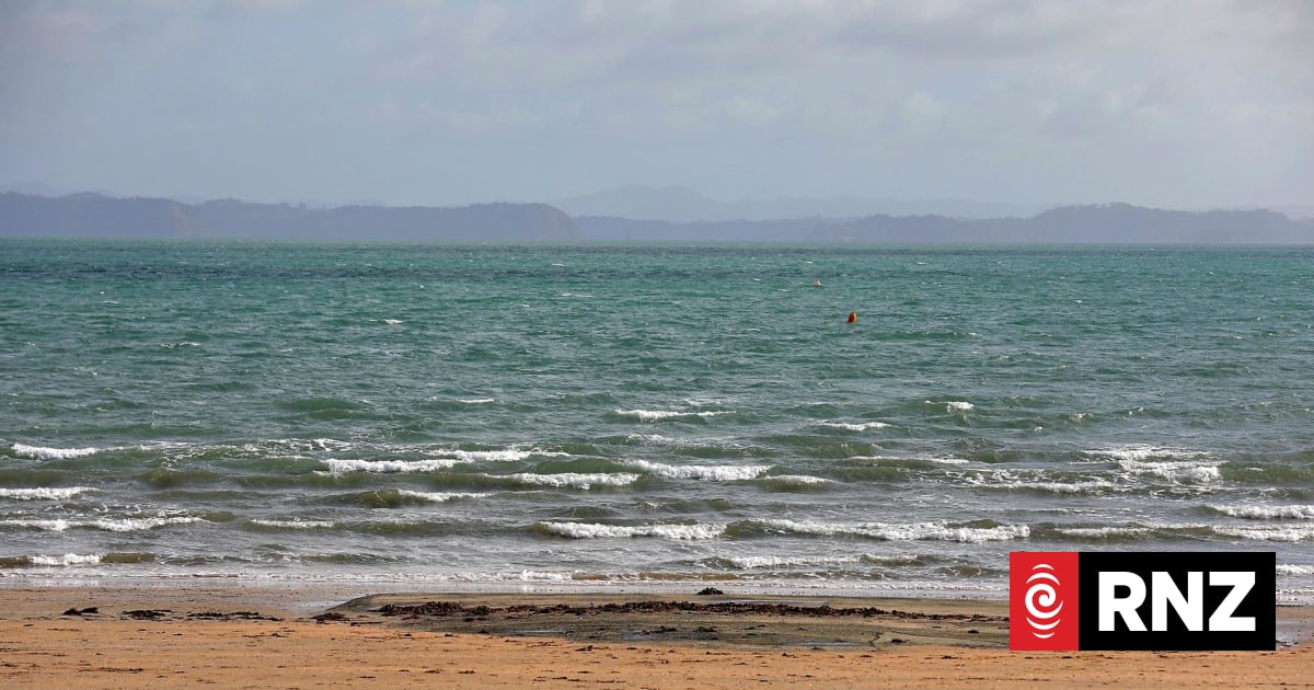 Kayakers rescued from rough waters off Auckland beach | RNZ