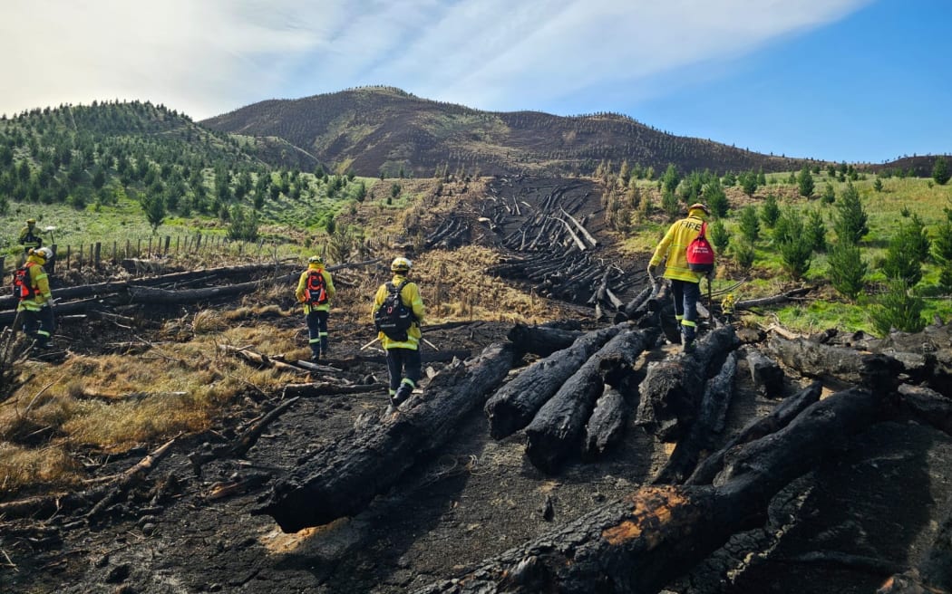 A huge forestry fire near the Central Hawke's Bay village of Pōrangahau last week took days to extinguish.