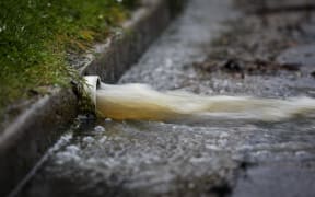 Water rushing out of drains in South Dunedin.