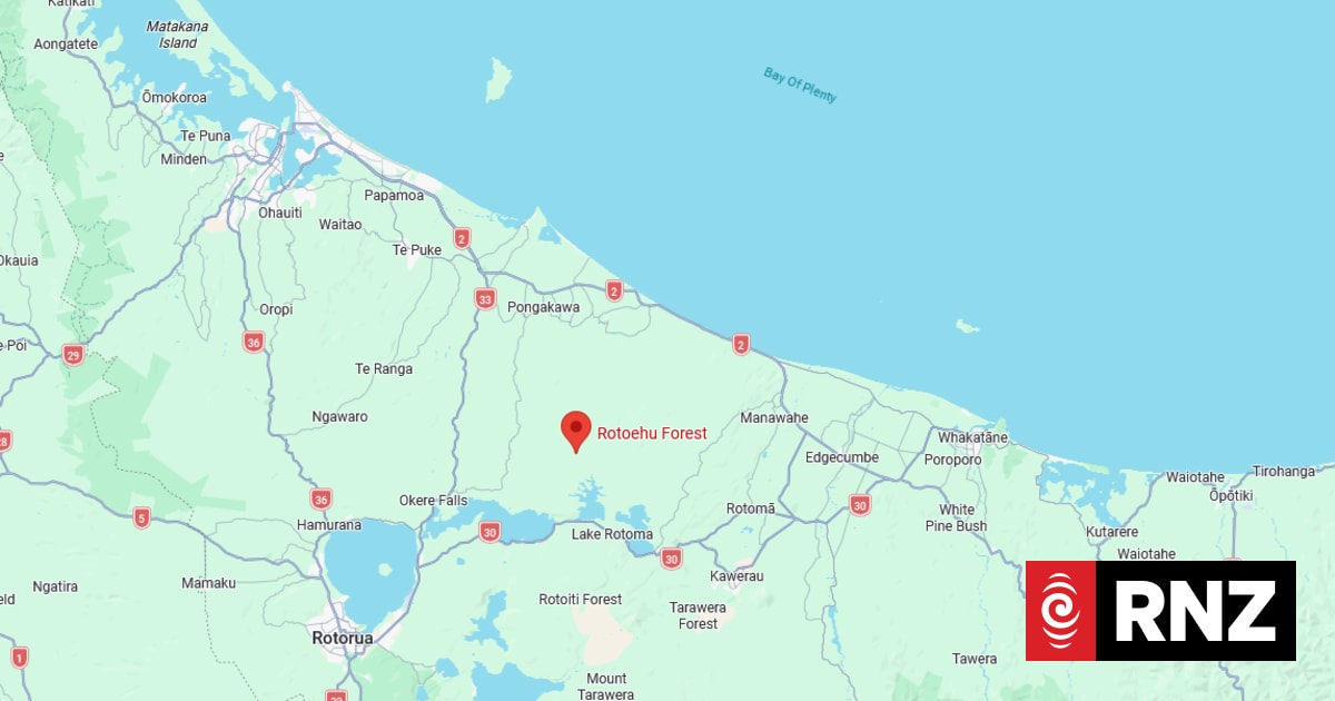 Search underway for group lost in Bay of Plenty forest