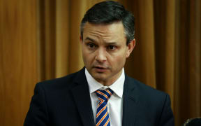 Green Party co-leader James Shaw