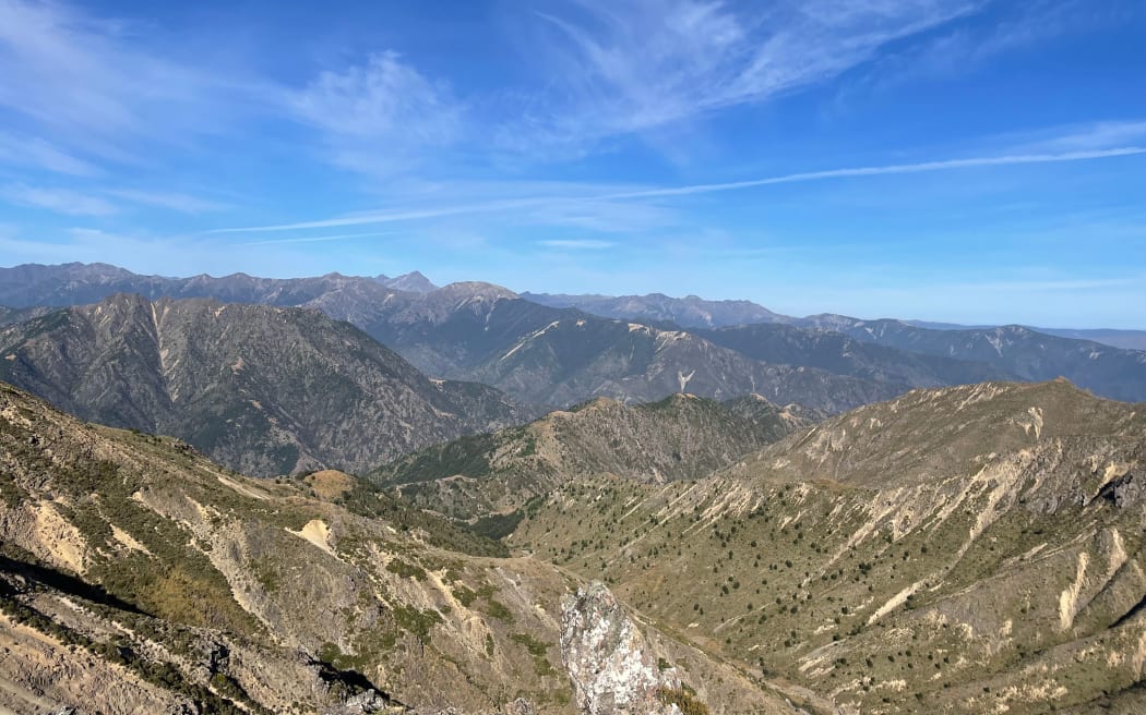 A lack of funding is causing the rampant spread of wilding pines in South Marlborough.