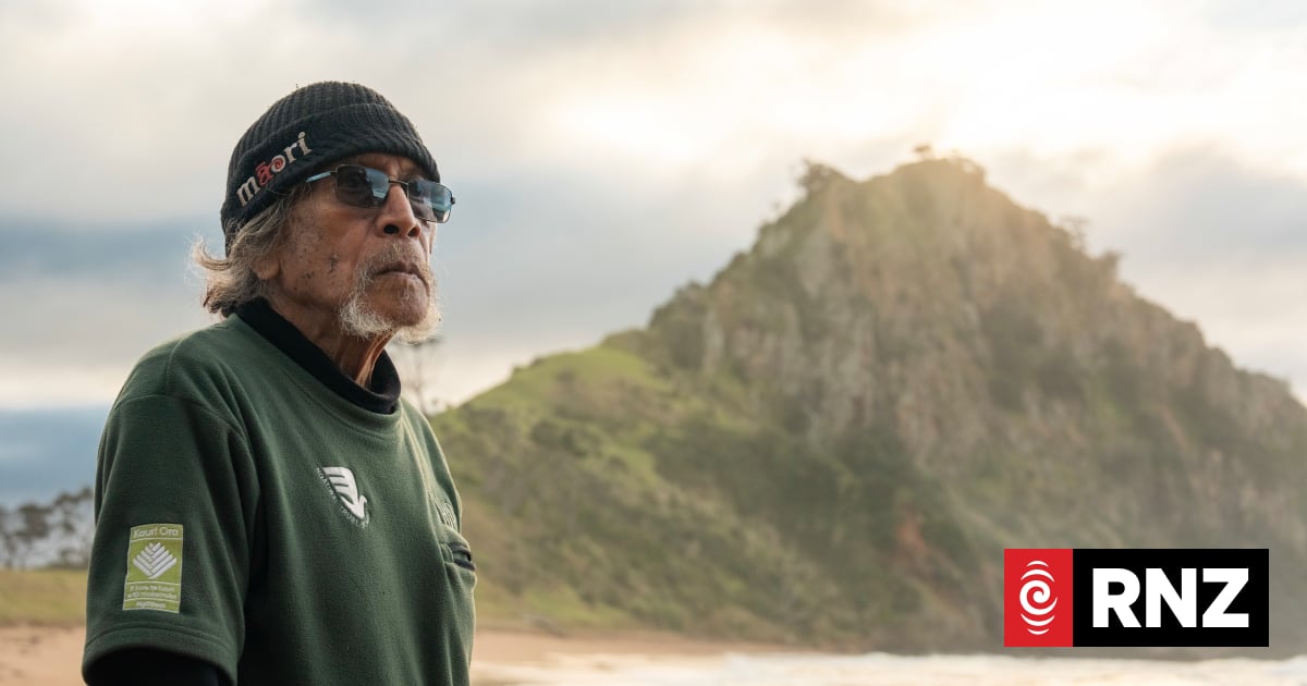 New film honours Ngātiwai whale expert Hori Parata's legacy
