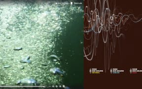 Kaikoura bubbles
