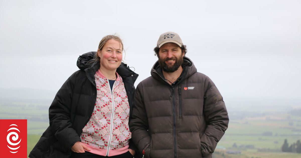 A year on the farm: Lambing is in full swing on the Bird's hill block - Vimarsana News