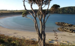 The DOC campground at Maitai Bay, on the Far North's Karikari Peninsula, is one of the few that will take campers without an online booking.