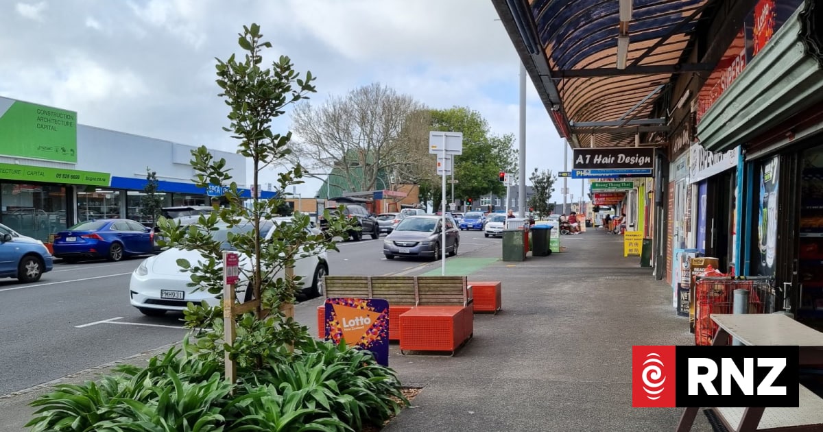 Why Mt Albert could be pivotal for National as it plots its way back to power