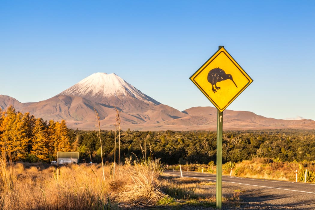 Tongariro National Park, Taupo volcanic zone, North Island, New Zealand
